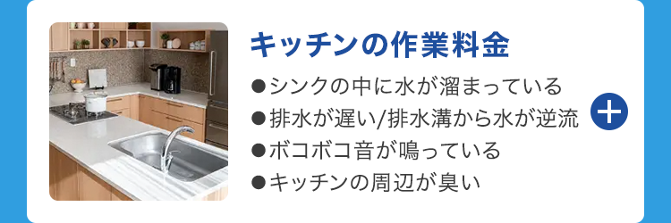 キッチンの作業料金
●シンクの中に水が溜まっている
●排水が遅い/排水溝から水が逆流 +
●ボコボコ音が鳴っている
●キッチンの周辺が臭い