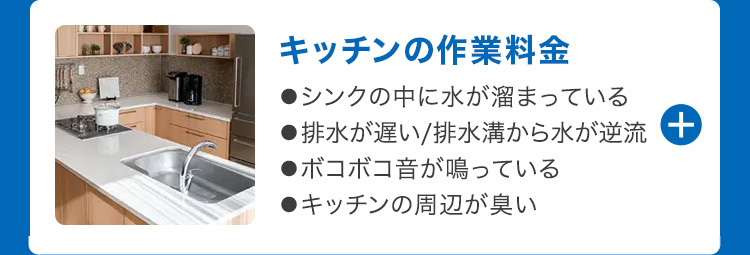 キッチンの作業料金
●シンクの中に水が溜まっている
●排水が遅い/排水溝から水が逆流 +
●ボコボコ音が鳴っている
●キッチンの周辺が臭い